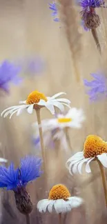 Serene wildflower field with daisies and cornflowers on mobile wallpaper.