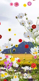 Wildflower meadow with purple and white flowers under a bright sky.