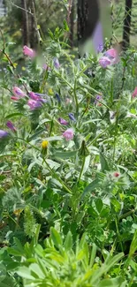 Vibrant wildflowers and green foliage in a natural setting wallpaper.