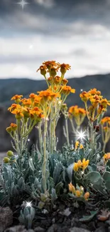 Orange wildflowers with sparkling dewdrops against a mountain background.