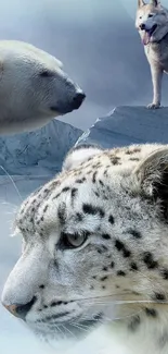 Polar bear, snow leopard, and wolf on icy landscape wallpaper.