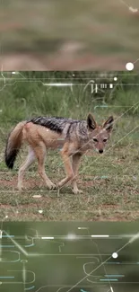 Wildlife meets tech in this mobile wallpaper of a fox in a digital landscape.