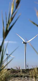 Wind turbines under a clear blue sky, surrounded by nature.