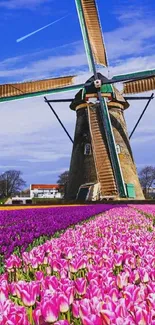 Vibrant tulip fields with a windmill under a blue sky.