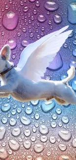 Winged dog flying against a colorful, water-drop background.