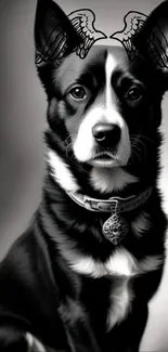 Black and white artistic dog with wings design.