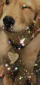 Winking golden puppy with sparkles.