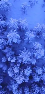 Aerial view of snow-covered forest in winter.