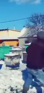 Man tending beehives in winter landscape.