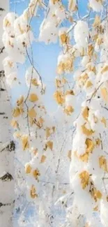 Snowy birch forest with golden leaves.