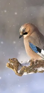 A bird perched on a snowy branch in a winter scene.