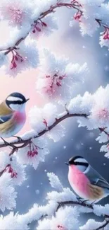 Two colorful birds on snowy branches with pink blossoms.