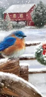 Bluebird on a snowy fence with a winter barn backdrop.