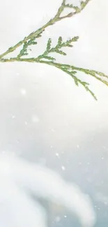 Minimalist wallpaper with a snowy branch theme.