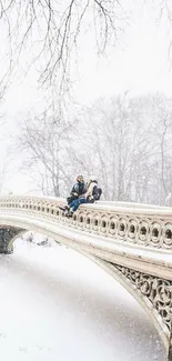 Snow-covered bridge in winter landscape, peaceful and serene scene.