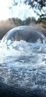 Frozen soap bubble on icy surface in winter landscape.