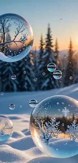 Clear bubbles reflect snowy sunrise landscape.