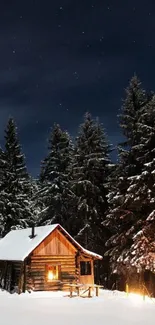 Snowy cabin under a starlit winter sky.