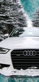 White car in snowy forest with teal sky background.