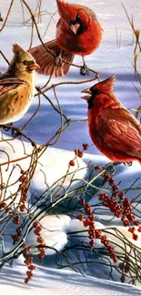 Three vibrant cardinals perched in snowy winter scene.