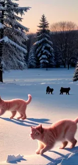 Ginger cats play in a serene snowy forest, with frost-covered trees in the background.