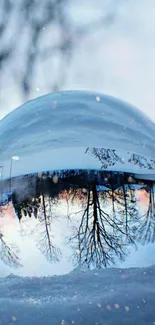 A crystal ball reflecting a winter scene with trees and snow.