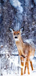 Lone deer standing in a snowy forest with falling snowflakes.