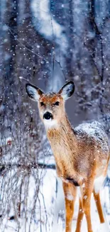 Deer in a snowy forest landscape, showcasing winter's beauty.