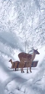 Deer standing in a peaceful, snowy forest.