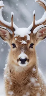 Snow-covered deer in a winter landscape with falling snowflakes.