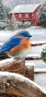 Bluebird on snowy farm fence, winter scene with barn.