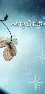 Merry Christmas wallpaper with snowflakes and winter leaves.