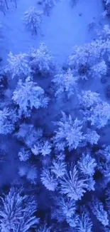 Aerial view of snow-covered forest in winter.