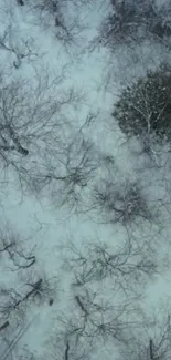 Aerial view of a snowy winter forest with bare trees and patches of greenery.