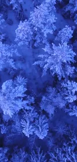 Aerial view of snow-covered blue forest.