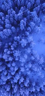 Aerial view of snow-covered forest in blue hues.