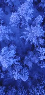 Aerial view of snow-covered forest in serene blue tones for mobile wallpaper.