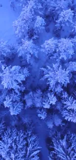 Aerial view of snow-covered forest with blue tones.