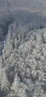 Aerial view of a snow-covered winter forest.