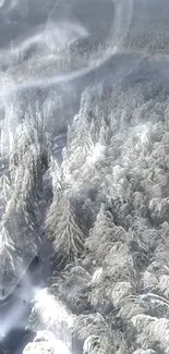 Aerial view of snow-covered forest in winter.