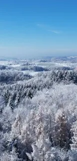 Aerial view of a snowy winter forest under a clear blue sky.