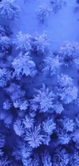 Aerial view of a snowy blue forest scene on a mobile wallpaper.