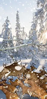 Majestic deer in a snowy forest with sunlight through trees.