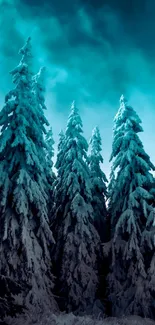 Snow-covered forest under azure sky wallpaper.