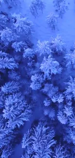 Aerial view of a snowy forest bathed in blue tones with detailed tree tops.