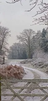 Idyllic snowy forest path with frosty trees and rustic wooden gate in winter.