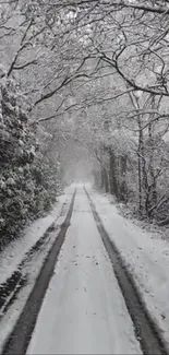 Snow-covered forest path in winter landscape.