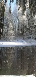 Snow-covered forest reflecting on a tranquil lake in winter.