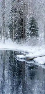 Snowy trees reflected in a frozen forest lake.