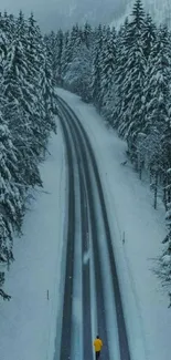 Snowy road through a winter forest with a lone traveler.